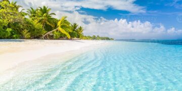 De la X a las XXX, la red social con “porno”