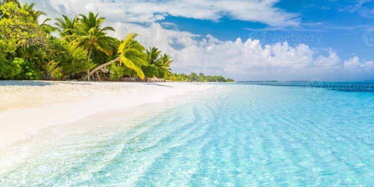 De la X a las XXX, la red social con “porno”